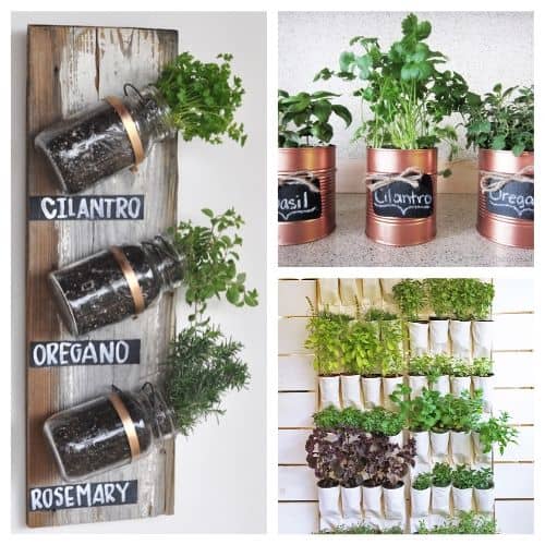 herb garden ideas by acultivatednest