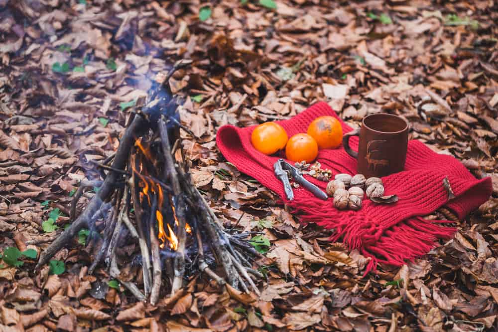 Non perishable food in autumn forest near bonfire