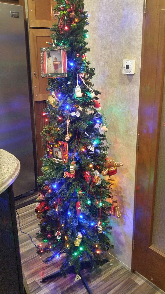 thin christmas tree in an rv