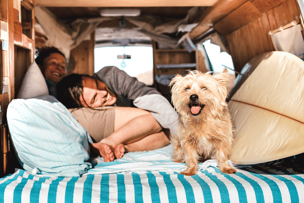 rv van bed with dog and couple