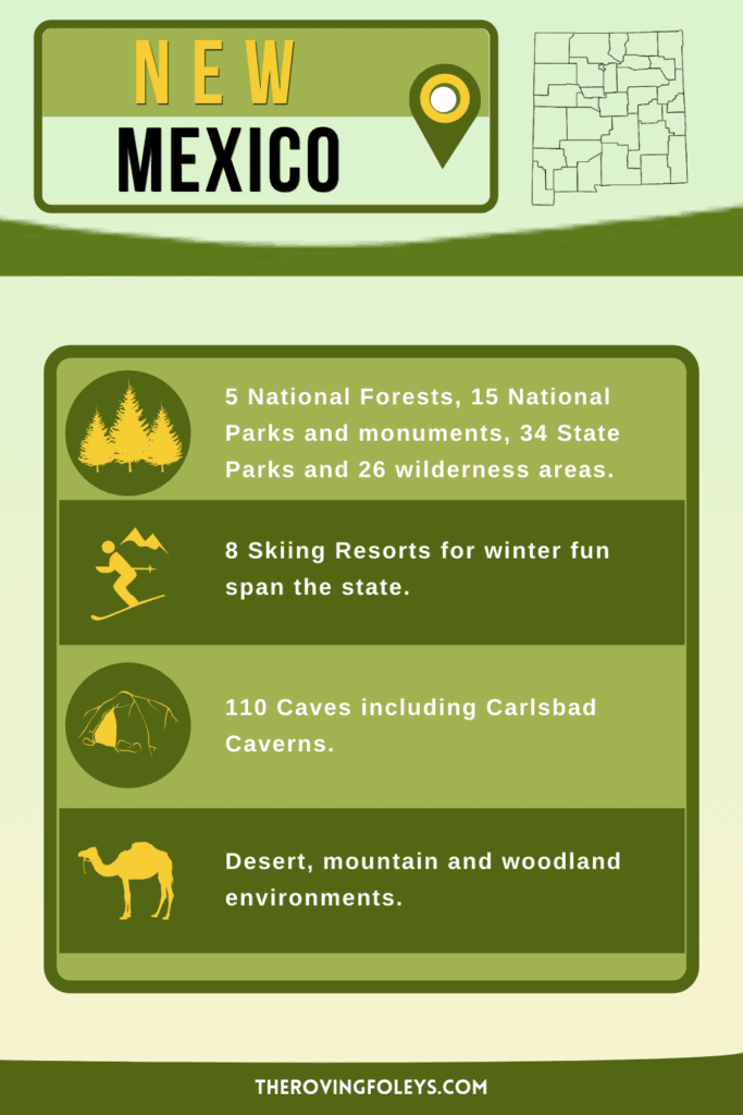 New Mexico facts infographic