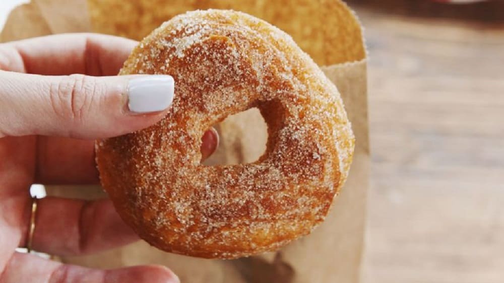 fingers holding a cinnamon donut