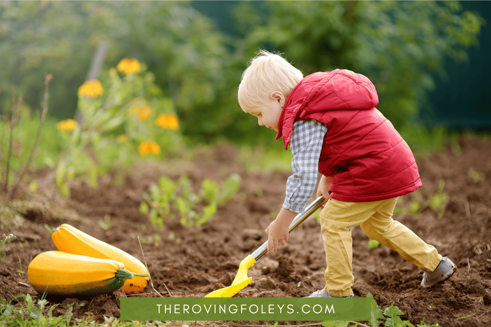 toddler digging in garden