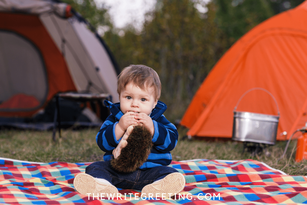 Top 25 Tips for Camping With Toddlers (A Must Read!)