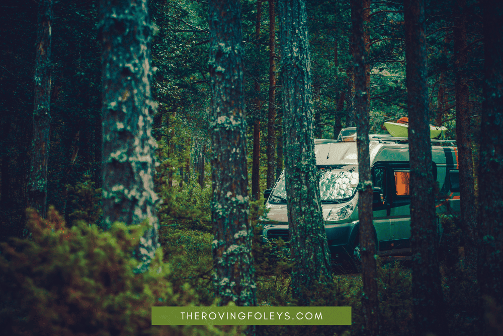campervan in the woods