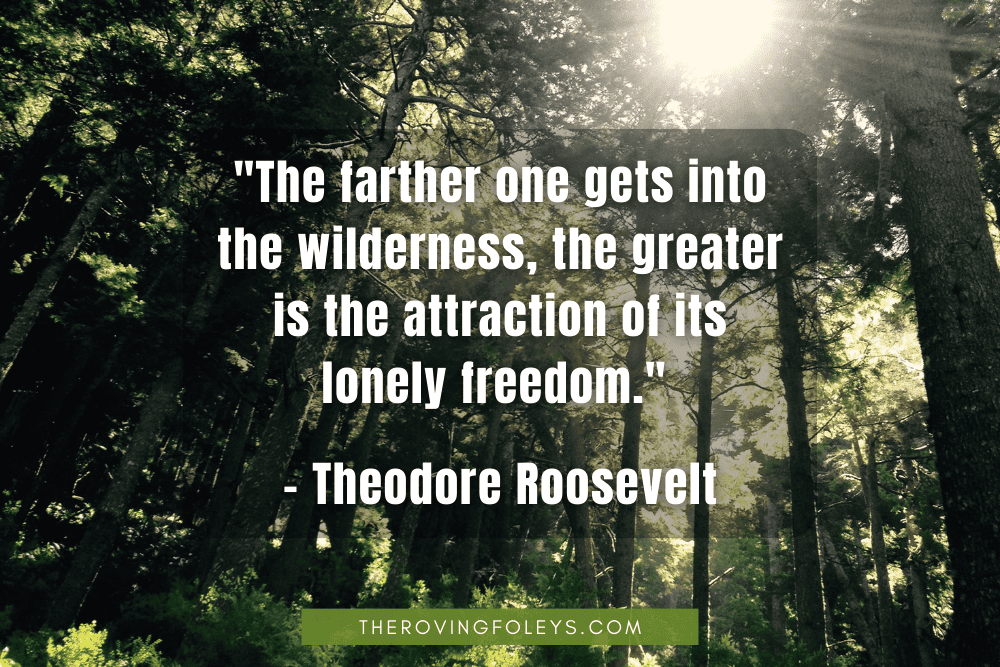 forest scene with Roosevelt quote