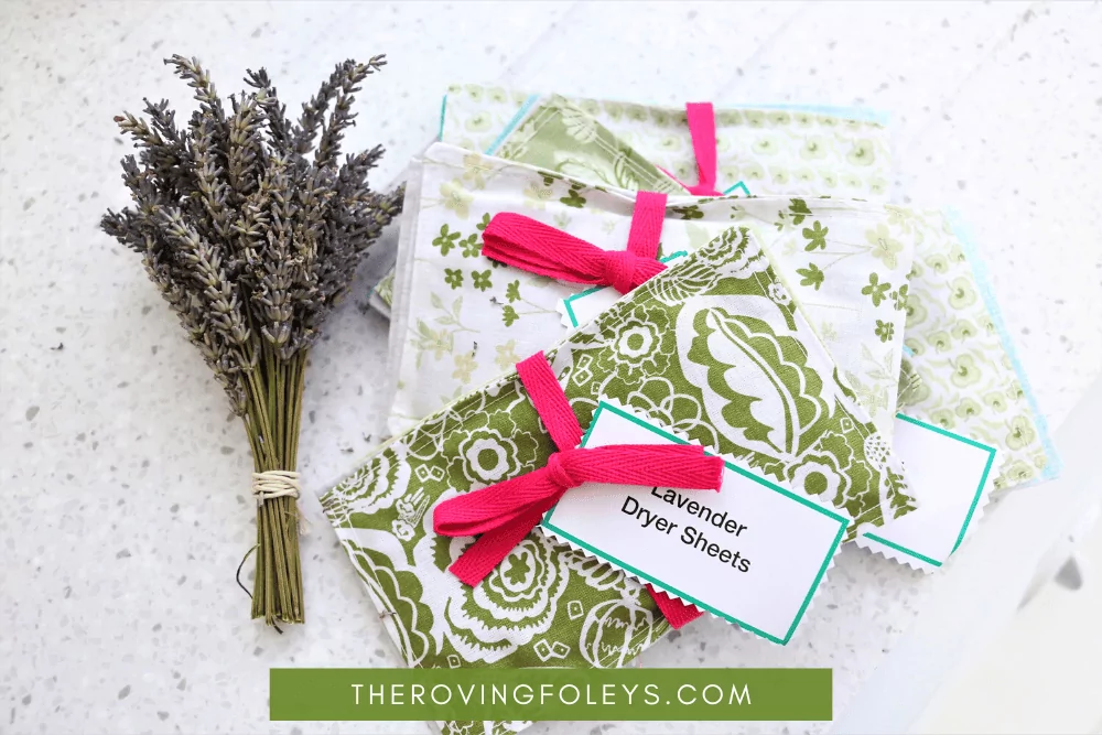 5 Effective Strategies How to Keep Mice Out of The Camper for Good