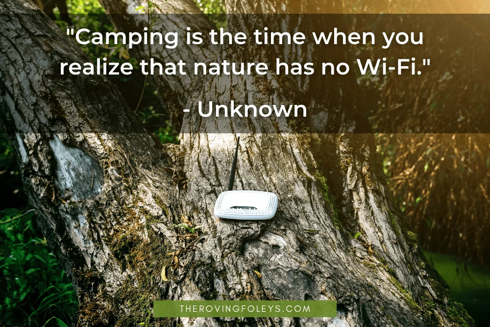 wifi router sitting on a tree